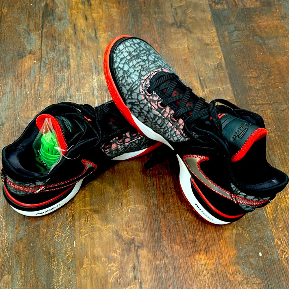 Nike Lebron 20 size 11